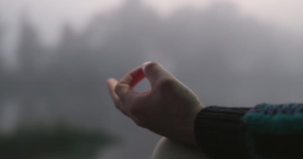 Лотос Руки Человек Природе Медитации Мира Психического Здоровья Оздоровления Энергетической — стоковое видео