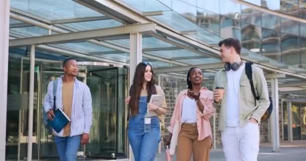 幸せな人々を歩き 大学のニュース 大学のゴシップや奨学金について話すグループ 多様性の学生 友人がキャンパスの旅で学校教育について話す — ストック動画