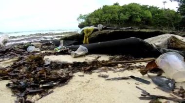 Plastik, atık ve kirlilik Endonezya çevre ve doğadaki okyanusta veya kumda. Çöpler, problemler ve çöpler denizdeki çöpler çöplük ve yosunlar tropik adalarda ve dünyada.