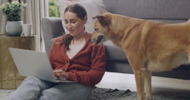 Serbest blogcu dizüstü bilgisayarda yazı yazıyor, evde kilitli bir şekilde otururken evcil bir köpek ya da evcil hayvan besliyor. Teknolojiyi araştıran ve meraklı köpek ile bağ kuran mutlu bir kadın..
