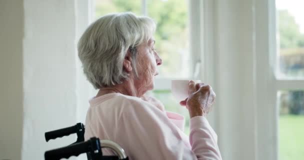 高齢の女性 コーヒー 車椅子は アイデア そして退職後のビジョンを持って窓から 障害のあるシニアの人 精神衛生 飲み物 紅茶カップで考える または介護施設で覚えている — ストック動画