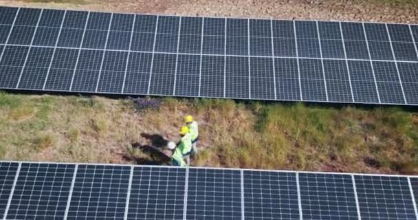 Люди Сонячні Панелі Огляд Видом Безпілотник Чиста Енергія Зовнішнє Обслуговування — стокове відео