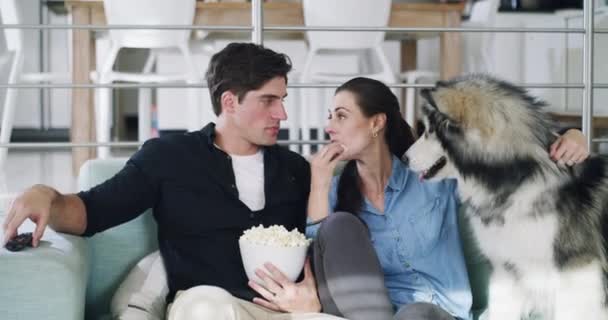Popcorn Chien Couple Regardant Télévision Sur Canapé Dans Salon Leur — Video