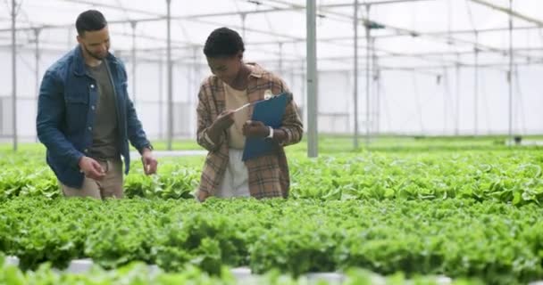 Homem Mulher Inspeção Fazenda Hidropônica Para Agricultura Planta Efeito Estufa — Vídeo de Stock