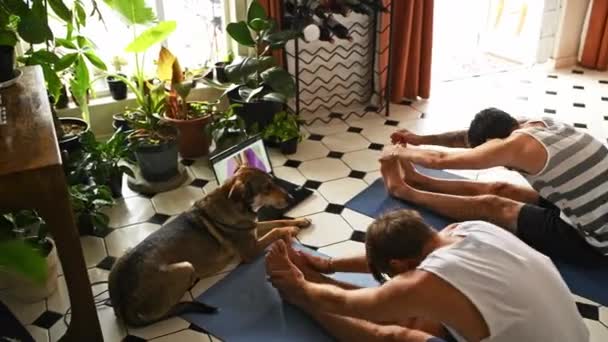 Hombre Amigos Yoga Con Portátil Para Tutorial Línea Clase Entrenamiento — Vídeos de Stock