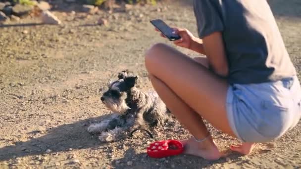 狗和电话在自然界 户外和摄影博客 通知和张贴在网站上 人和智能手机与动物 小狗或宠物在地面上 点击或阅读社交媒体 — 图库视频影像