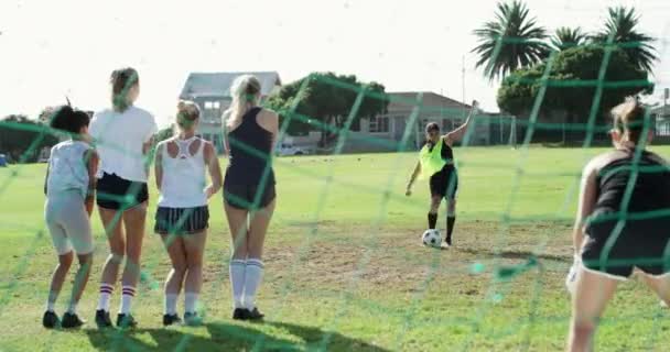 チーム サッカー ゴールキーパーがボールをキャッチし フィールドでトレーニングし 競技でトレーニングを行います フリーキックでのグループ ゴール または女性 夏のスタジアムでのサッカーの試合やスポーツ選手の試合 — ストック動画