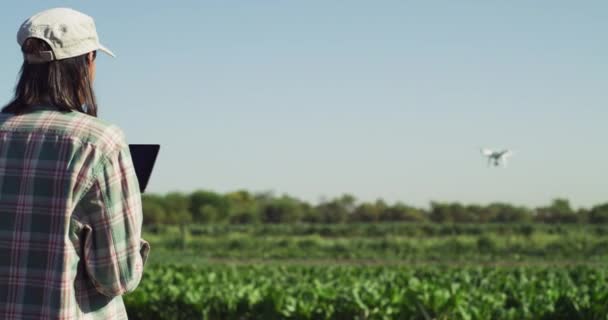 収穫のための女性 ドローン 屋外でのタブレットと持続可能性 農場と技術 つながり モニタリングによる農業計画 — ストック動画