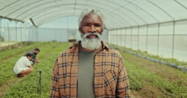 Cara Sorriso Homem Estufa Para Agricultura Ecologia Desenvolvimento Sustentável Das — Vídeo de Stock