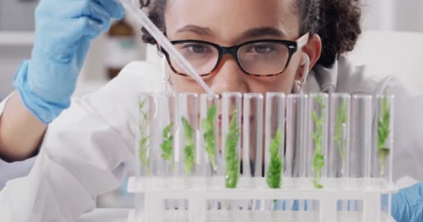 Femme Science Pipette Pour Recherche Végétale Expérimentation Étude Écologie Femme — Video