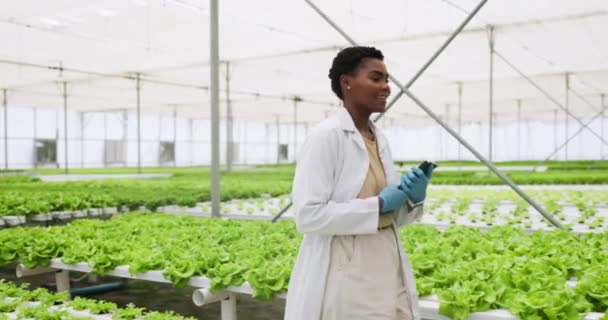 石板和黑人妇女与研究 农业和科学与植物检查 研究和科学与耕作 合规调查和生态花园质量保证 — 图库视频影像