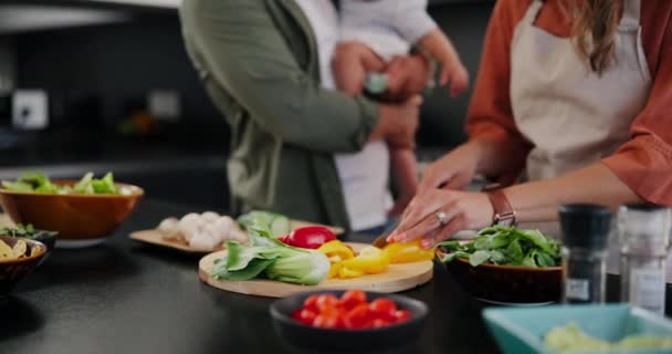 Kadın Bıçak Sebzeler Aile Mutfağında Beslenme Hazırlığı Için Aşçı Biber — Stok video