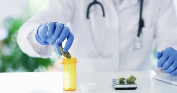 Vetenskap Cannabisforskning Och Person Med Anteckningar Medicinsk Studie För Alternativ — Stockvideo