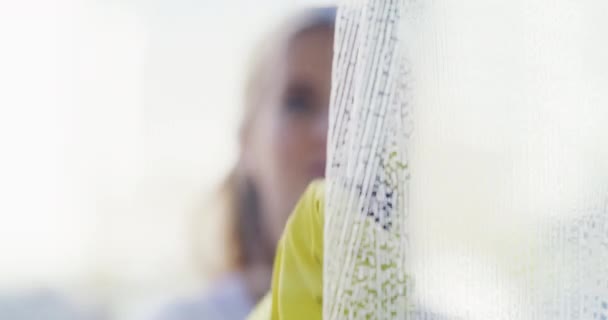 Kobieta Okno Sprzątanie Wycieraczką Mydłem Dla Higieny Połysku Jasnego Widzenia Wideo Stockowe