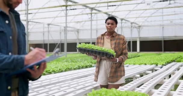 Wasserbauernhof Salat Und Bauern Gewächshaus Mit Checkliste Von Gartenbaustudenten Und — Stockvideo