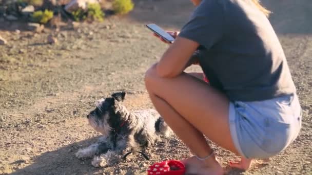 Kobieta Pies Telefon Ścieżce Przyrodniczej Sms Lecie Blogu Powiadomienia Post — Wideo stockowe