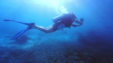 Tüplü dalış, okyanusta balık ve Raja Ampat 'ta biyolojik çeşitlilik, ekoloji ve tropikal çevre ile mercan resiflerinde yüzen insan. Sakin mavi deniz, sualtı hayvanı ve Endonezya 'da macerada şnorkel..