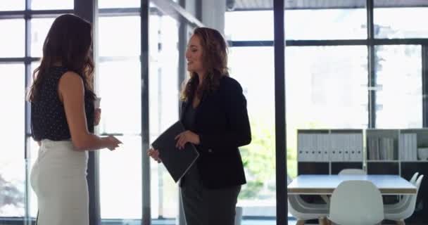 Wanita Bisnis Jabat Tangan Dan Selamat Datang Wawancara Kerja Pertemuan — Stok Video