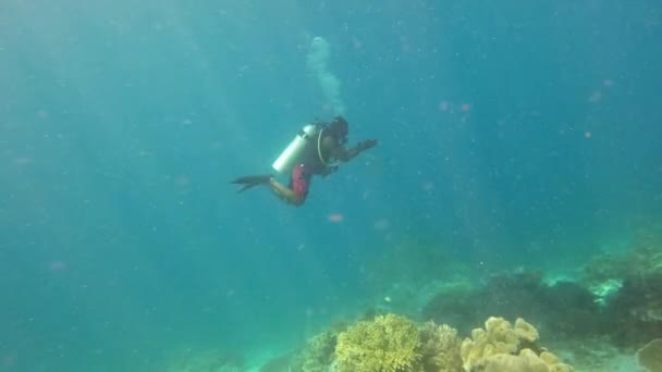 Hombre Buceador Nadador Arrecife Coral Océano Vida Marina Ejercicio Agua — Vídeos de Stock