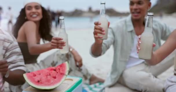 Millet Kutlama Için Sahilde Içki Şişesi Açık Hava Partisi Meyveli — Stok video