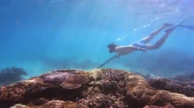 Tüplü dalış, kadın ya da mercan kayalıklarında yüzmek macera ya da mızraklı vahşi yaşam için. Dalgıç, insan ya da şnorkelle yüzen seyahat, tatil ya da deniz altı keşfi özgürlüğü.