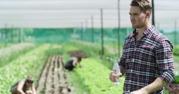 뜨거운 날이나 가능한 유기농 수확에 농업에 마시는 농작물 팀워크 작업을위한 — 비디오