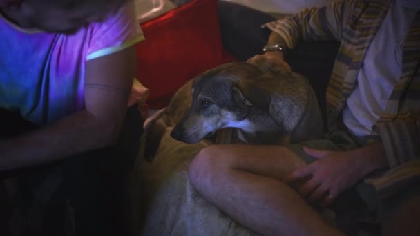 Mann Freunde Und Hund Entspannen Sich Nachts Auf Der Veranda — Stockvideo