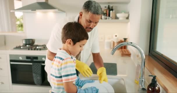 Enseñanza Papá Niño Lavando Platos Con Apoyo Para Servicio Limpieza — Vídeos de Stock
