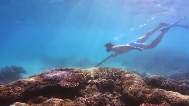 スカバダイビング または海洋での冒険や野生生物のためのサンゴ礁で水中を泳ぐ ダイバー シュノーケリング 休暇や海底探検のための自由と海底 — ストック動画