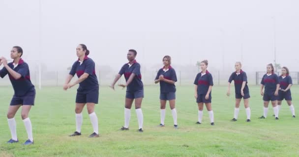 Allungamento Squadra Donne Con Rugby Salute Fitness Campo Benessere Allenamento — Video Stock