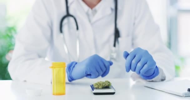 Vetenskap Marijuana Forskning Och Händer Med Anteckningar Medicinsk Studie För — Stockvideo