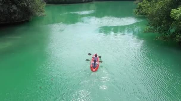 Dron Ludzie Odkryty Kajaku Lasów Namorzynowych Oceanu Ekologiczny Transport Wioślarstwa — Wideo stockowe
