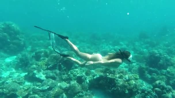 Mulher Snorkel Mergulho Recifes Coral Mar Natureza Peixes Por Debaixo — Vídeo de Stock