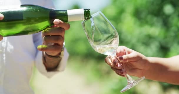 Winnica Ręce Sommelier Szklanką Degustacji Wina Napojem Alkoholowym Weekend Przyrodzie — Wideo stockowe
