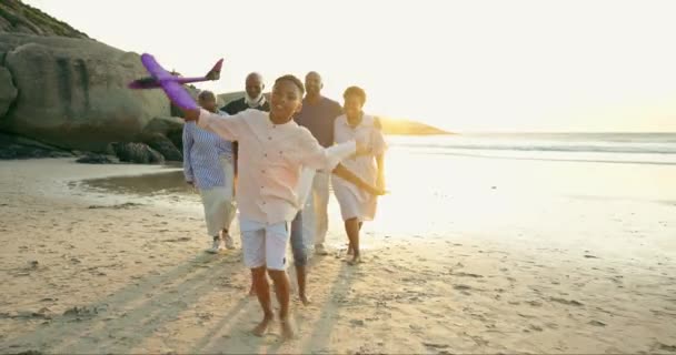 Černá Rodina Letadlo Děti Pláži Západ Slunce Běh Svoboda Hrát — Stock video
