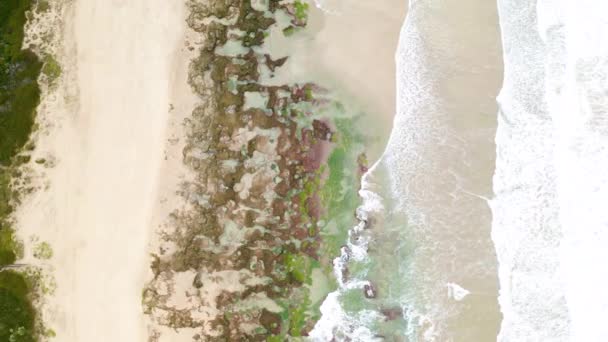 Dron Moře Písek Pláži Létě Pro Cestování Svobodu Nebo Dobrodružství — Stock video