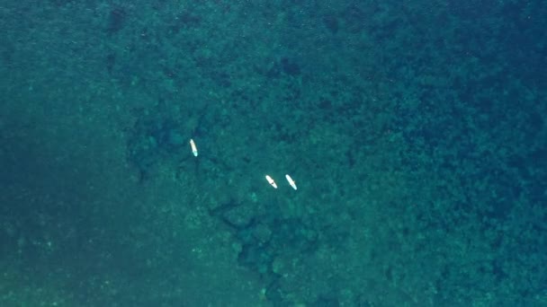 Drone Playa Gente Surfeando Con Libertad Entrenamiento Verano Diversión Vacaciones — Vídeo de stock