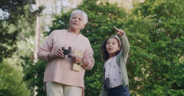 Büyükanne Torun Bir Parktan Dürbünle Vahşi Hayatı Izliyor Onları Görüyor — Stok video