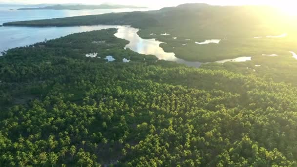 Rzeka Wschód Słońca Dron Wsi Natury Środowiska Drzew Tajlandii Wodą — Wideo stockowe