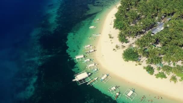 热带和岛屿上的无人机 在沙滩上建有小屋 用于度假 度假或带棕榈树和海洋探险 海景及菲律宾海滩 让您轻松 旅游及畅享风景 — 图库视频影像