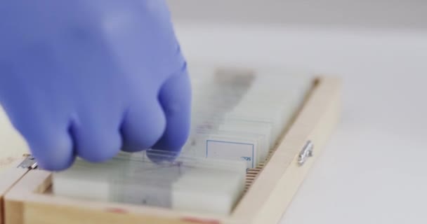 Nauka Mikroskop Slajd Rąk Osoby Laboratorium Eksperymentu Szczepionki Opieki Zdrowotnej — Wideo stockowe