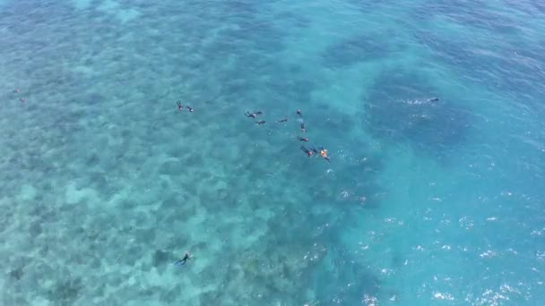 Dron Lato Ludzie Pływający Oceanie Aby Nurkować Odkrywać Głębokie Morze — Wideo stockowe