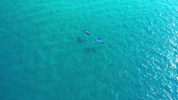 Oceano Viagens Pessoas Remo Embarque Drone Com Água Azul Liberdade — Vídeo de Stock