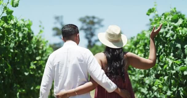 Aşk Üzüm Bağı Çiftlerin Sırtı Şarap Tarlasında Kırsalda Birlikte Yürüyor — Stok video