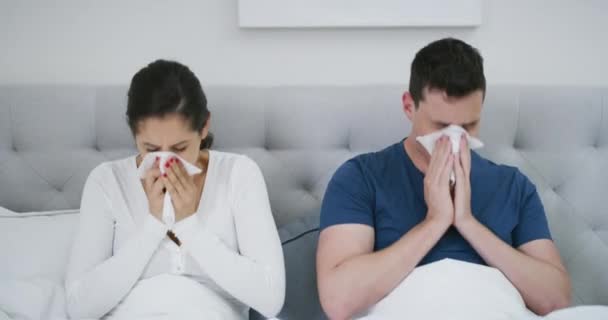 カップル アレルギーまたは冷たいウイルスで一緒にくしゃみ 鼻を吹く ベッドでインフルエンザを持つ男と女性 ティッシュペーパーやコビド 病気や細菌 炎症や健康問題 — ストック動画