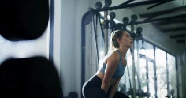 运动或室内训练时 健身者和举重者 健身俱乐部的活跃女性 运动员或健美运动员通过举重来增加肌肉和力量 — 图库视频影像