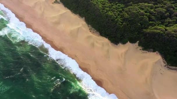 Океан Пляж Поверхневий Пісок Дрони Повітряної Гармонії Природи Природних Дерев — стокове відео