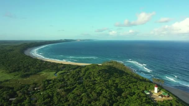 オーシャンビーチ ジャングルツリー ドローン 屋外旅行先 自然の自由 アマゾンの熱帯雨林の空中ビュー ランドスケープテクスチャーの背景 静かな場所と熱帯島の表面 — ストック動画