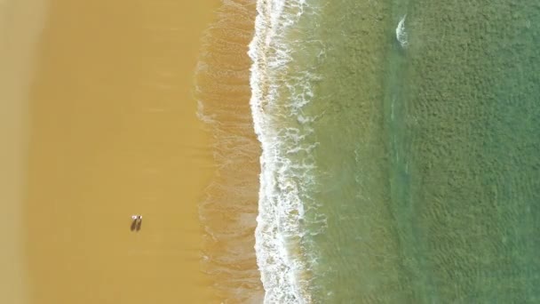 Procházka Cestování Letecký Pár Pláži Dovolenou Dovolenou Romantický Víkend Tropickém — Stock video