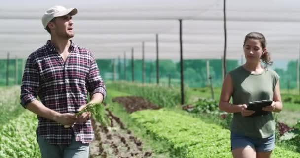 농부요 가능한 사업으로 그리고 디지털 육지에서의 — 비디오